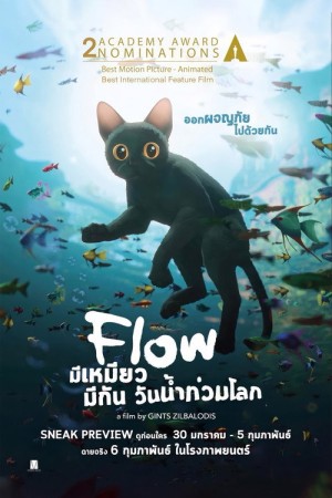 มีเหมียว มีกัน วันน้ำท่วมโลก (2024) Flow