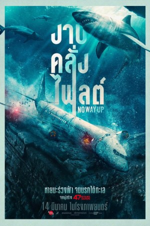 งาบคลั่งไฟลต์ (2024) No Way Up