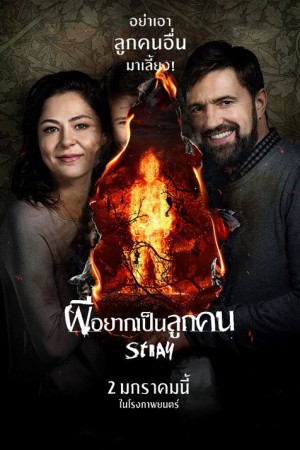 ผีอยากเป็นลูกคน (2019) Stray