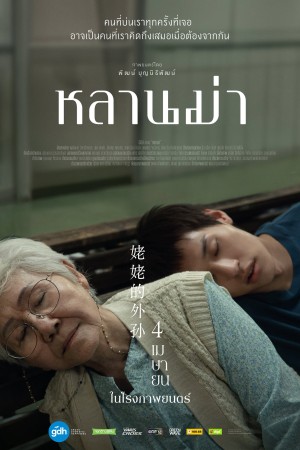 หลานม่า (2024) How to Make Millions Before Grandma