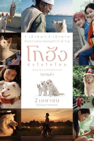 โกฮัง..หัวใจโกโฮม (2026) Gohan